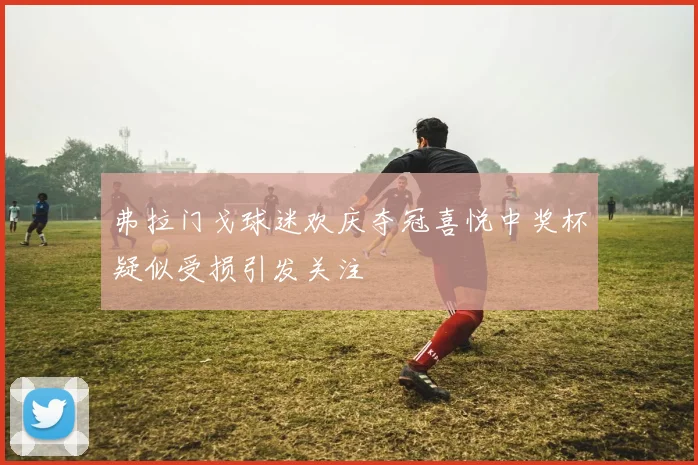 弗拉门戈球迷欢庆夺冠喜悦中奖杯疑似受损引发关注