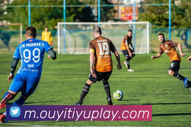 欧亿体育APP 封面图